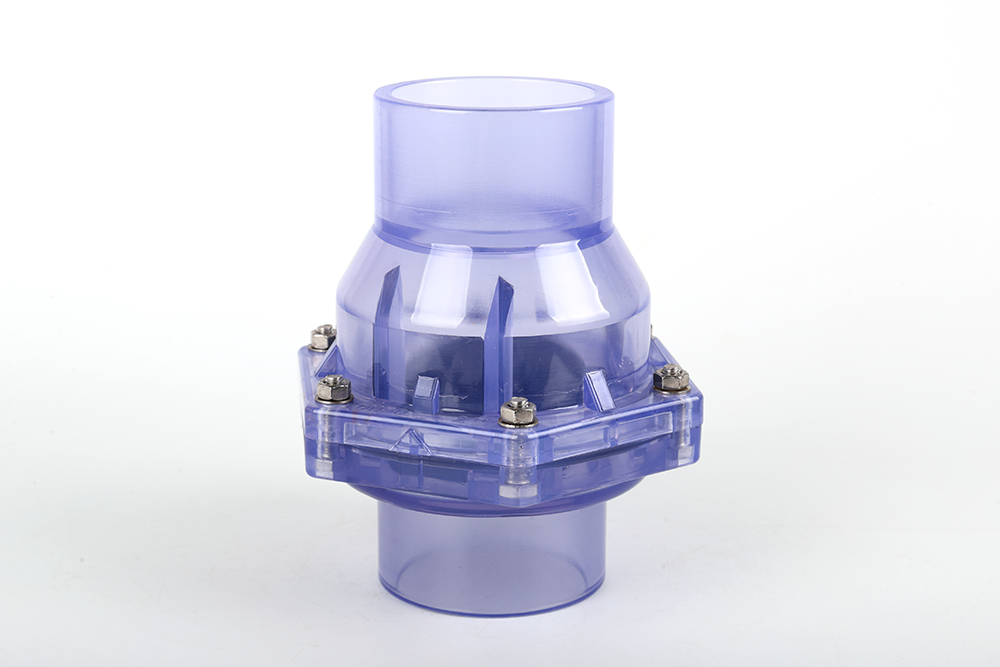 雷山透明翻板式止回阀